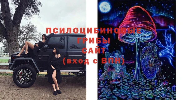 СК Аркадак