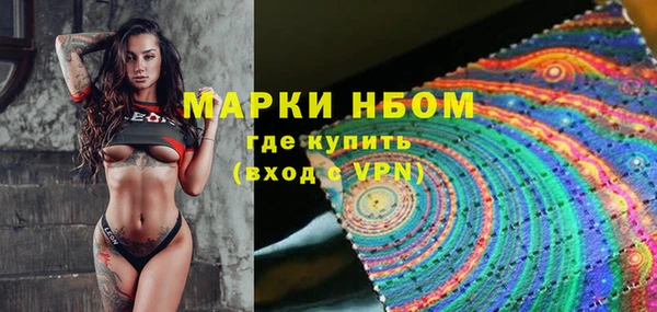 прущая мука Арсеньев