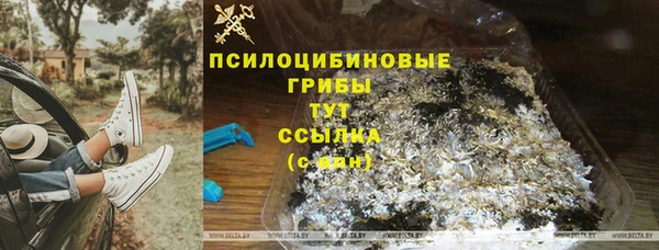 СК Аркадак