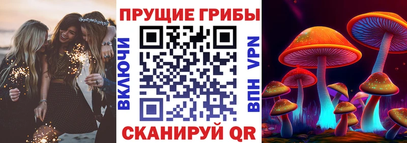 Псилоцибиновые грибы Magic Shrooms  omg ссылка  Саров 